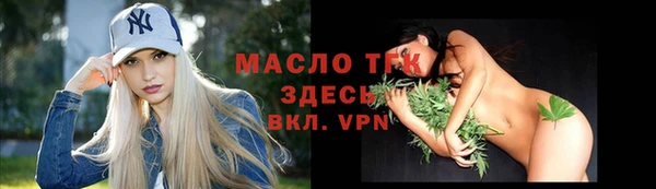 дживик Гусь-Хрустальный