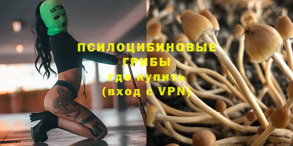 дживик Гусь-Хрустальный