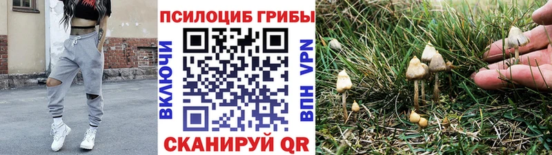 Галлюциногенные грибы GOLDEN TEACHER  Купить закладки  Радужный 